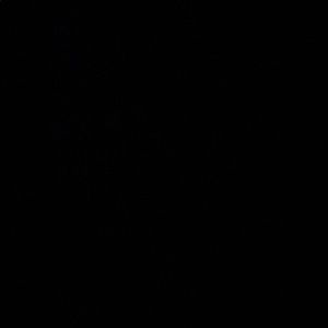 Meet your Posher, Kaitlyn